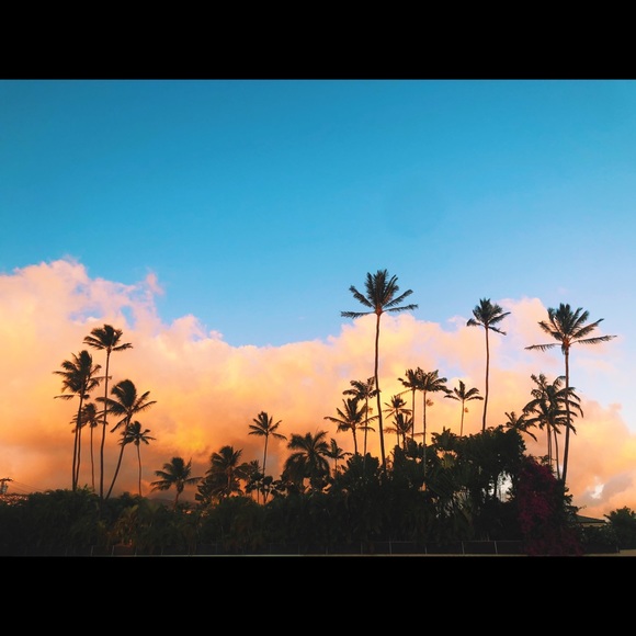 Hi I’m Alexis! 👋🏽 & this is Nikitas’ Closet 😸 - Picture 4 of 5